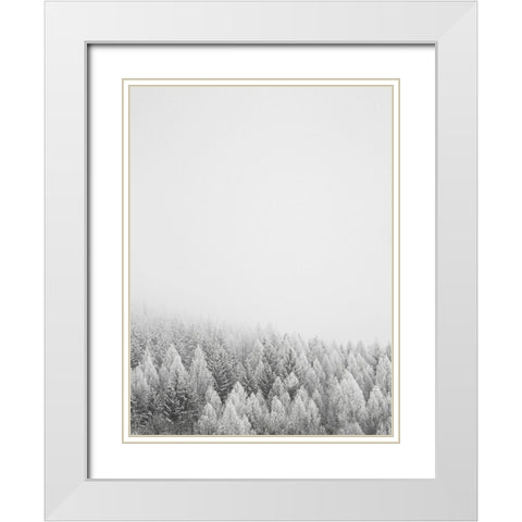 The White Forest   White Modern Wood Framed Art Print with Double Matting by Seven Trees Design