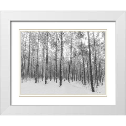 Let It Snow Forest   White Modern Wood Framed Art Print with Double Matting by Seven Trees Design