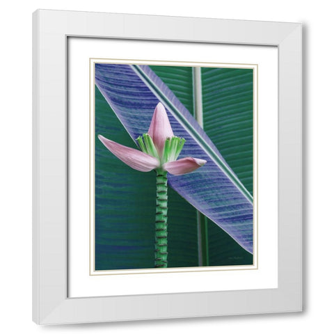 Banana Flower White Modern Wood Framed Art Print with Double Matting by Seven Trees Design
