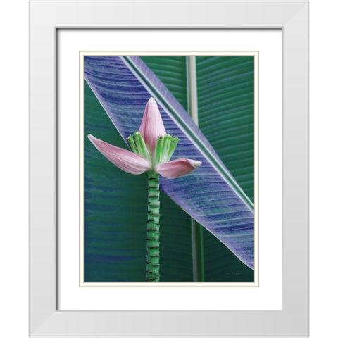Banana Flower White Modern Wood Framed Art Print with Double Matting by Seven Trees Design