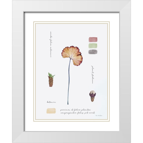 Botanical Notes White Modern Wood Framed Art Print with Double Matting by Seven Trees Design