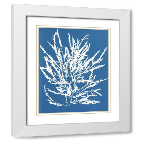 Blue Botanical I White Modern Wood Framed Art Print with Double Matting by Seven Trees Design