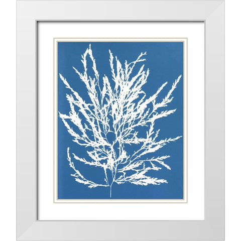 Blue Botanical I White Modern Wood Framed Art Print with Double Matting by Seven Trees Design