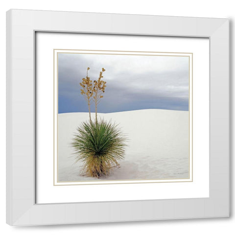 Botanic Dunes White Modern Wood Framed Art Print with Double Matting by Seven Trees Design