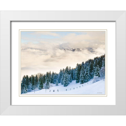 Pines in the Sky    White Modern Wood Framed Art Print with Double Matting by Seven Trees Design