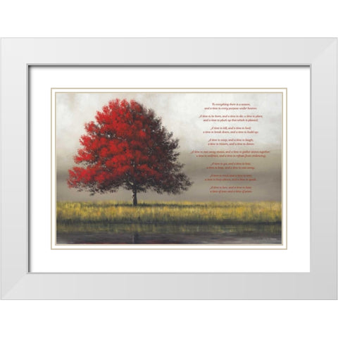 Time for Everything White Modern Wood Framed Art Print with Double Matting by Gagnon,Tim