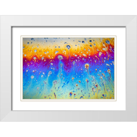 Abstract pattern of refracted light in soap bubble White Modern Wood Framed Art Print with Double Matting by Jones, Adam