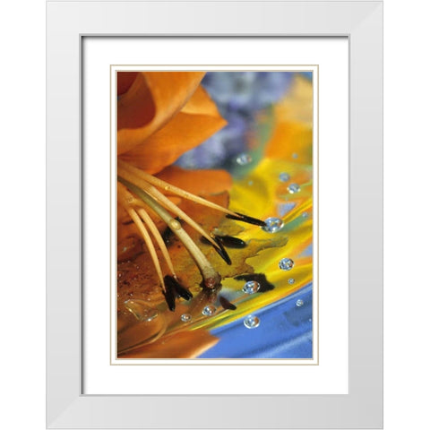 Abstract of lily stamens in reflection White Modern Wood Framed Art Print with Double Matting by Rotenberg, Nancy