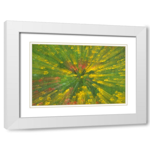 Garden Abstract White Modern Wood Framed Art Print with Double Matting by Rotenberg, Nancy