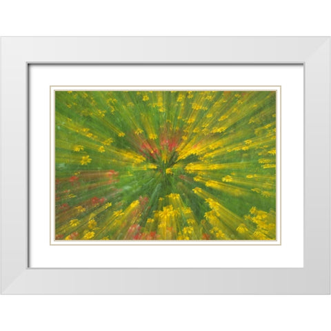 Garden Abstract White Modern Wood Framed Art Print with Double Matting by Rotenberg, Nancy