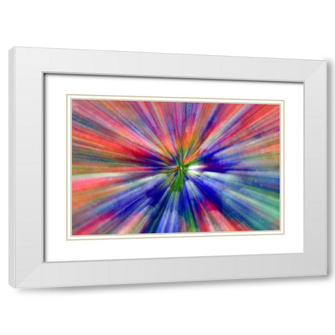 Abstract Zoom abstract of pansy flowers White Modern Wood Framed Art Print with Double Matting by Needle, Charles