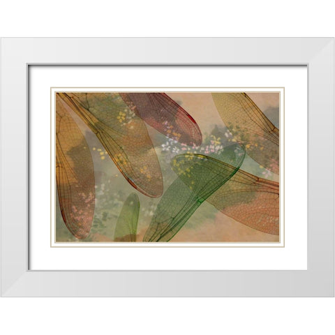 Montage abstract of dragonfly wings and flower White Modern Wood Framed Art Print with Double Matting by Paulson, Don