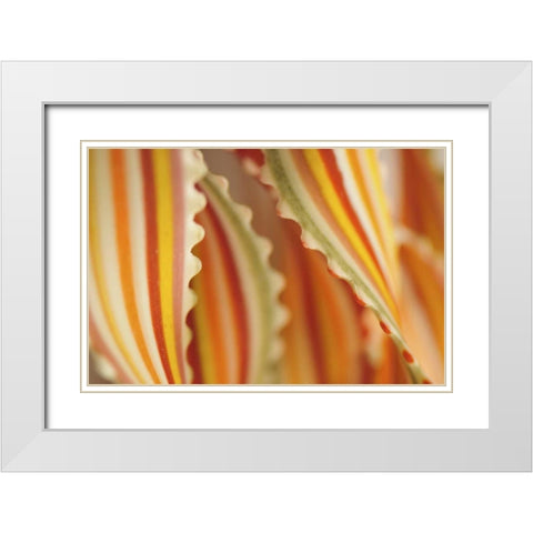 USA Close-up of dried rainbow pasta noodles White Modern Wood Framed Art Print with Double Matting by Terrill, Steve