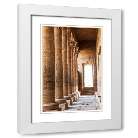 Africa-Egypt-Aswan Philae Temple on Agilkia Island in the Nile River White Modern Wood Framed Art Print with Double Matting by Wilson, Emily