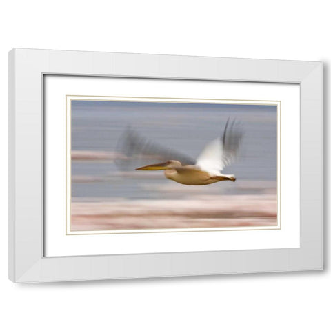 Kenya, Lake Nakuru NP Motion blur of pelicans White Modern Wood Framed Art Print with Double Matting by Kirkland, Dennis