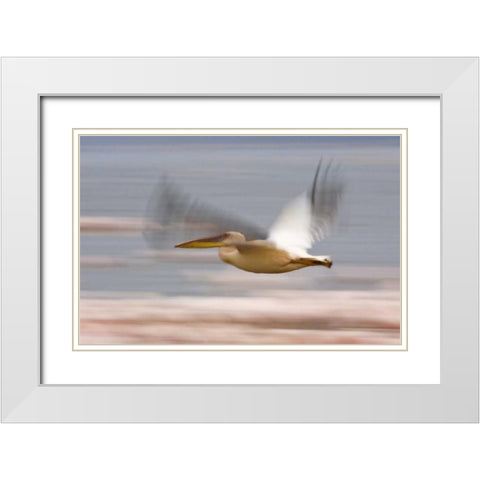 Kenya, Lake Nakuru NP Motion blur of pelicans White Modern Wood Framed Art Print with Double Matting by Kirkland, Dennis