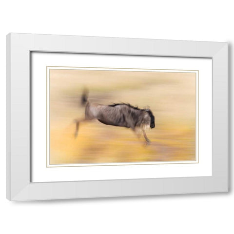 Kenya, Masai Mara Abstract blur of wildebeest White Modern Wood Framed Art Print with Double Matting by Morris, Arthur