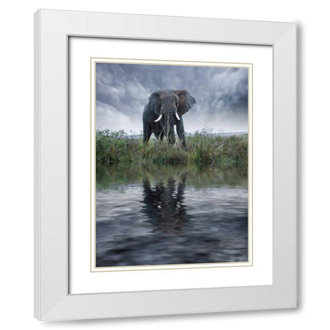 Kenya, Masai Mara Elephant reflecting in water White Modern Wood Framed Art Print with Double Matting by Zuckerman, Jim