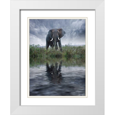 Kenya, Masai Mara Elephant reflecting in water White Modern Wood Framed Art Print with Double Matting by Zuckerman, Jim