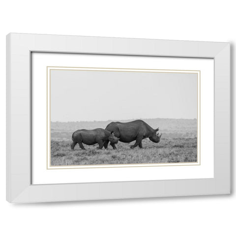 Africa-Kenya-Serengeti-Maasai Mara-Black rhinoceros-Critically endangered White Modern Wood Framed Art Print with Double Matting by Hopkins, Cindy Miller