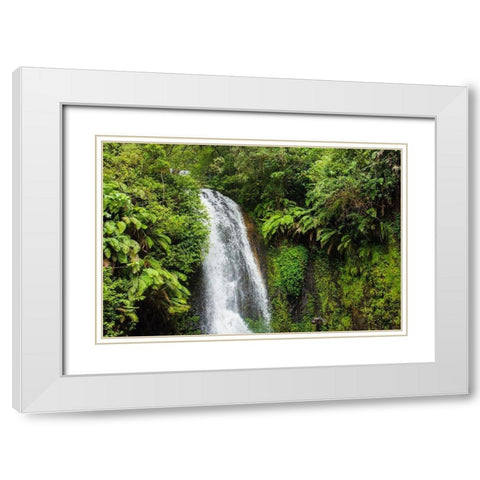 Madagascar-Antsiranana Amber Mountain National Park waterfall White Modern Wood Framed Art Print with Double Matting by Hogstrom, Inger