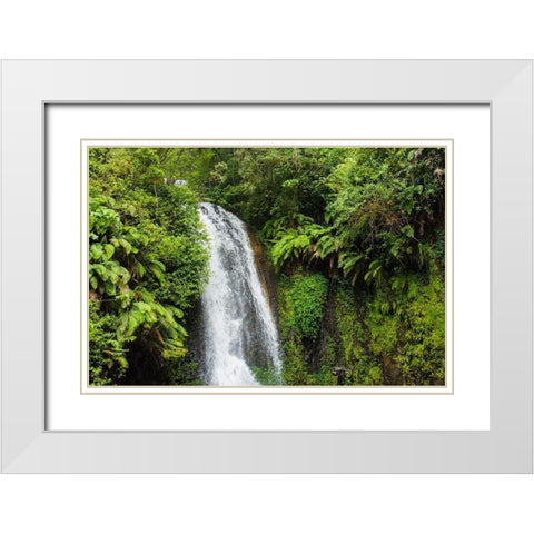 Madagascar-Antsiranana Amber Mountain National Park waterfall White Modern Wood Framed Art Print with Double Matting by Hogstrom, Inger