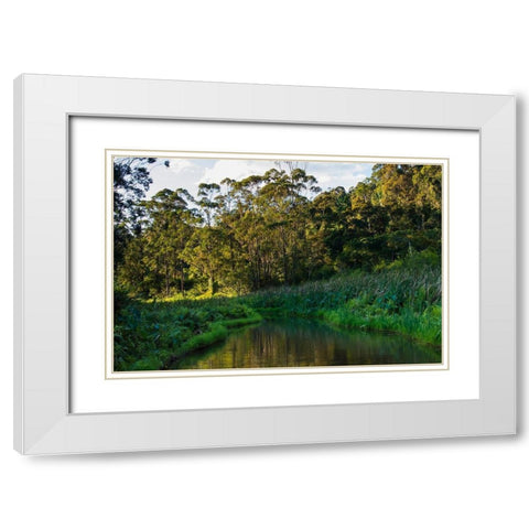 Madagascar-Andasibe-Vakona Lodge-Lemur Island Sunset over the canals that keep the lemurs White Modern Wood Framed Art Print with Double Matting by Hogstrom, Inger