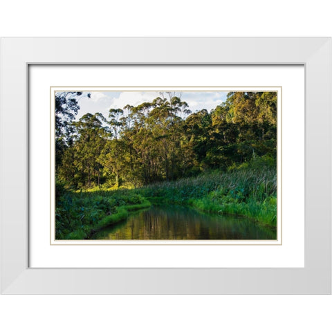 Madagascar-Andasibe-Vakona Lodge-Lemur Island Sunset over the canals that keep the lemurs White Modern Wood Framed Art Print with Double Matting by Hogstrom, Inger