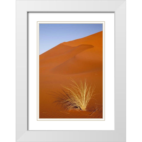 Grass and reddish sand dune, Sossusvlei, Namibia White Modern Wood Framed Art Print with Double Matting by Kaveney, Wendy
