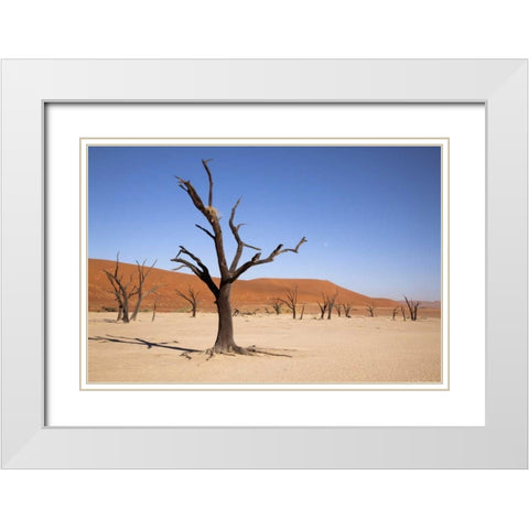 Moon and tree, Dead Vlei, Sossusvlei, Namibia White Modern Wood Framed Art Print with Double Matting by Kaveney, Wendy