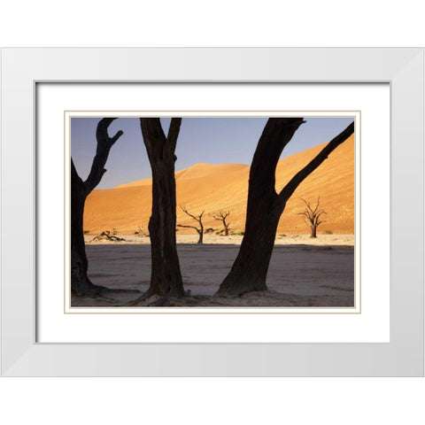 Tree and dunes, Dead Vlei, Sossusvlei, Namibia White Modern Wood Framed Art Print with Double Matting by Kaveney, Wendy
