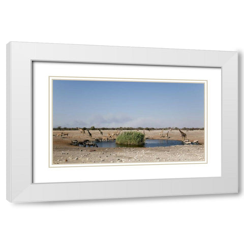 Animals gather at waterhole, Etosha NP, Namibia White Modern Wood Framed Art Print with Double Matting by Kaveney, Wendy