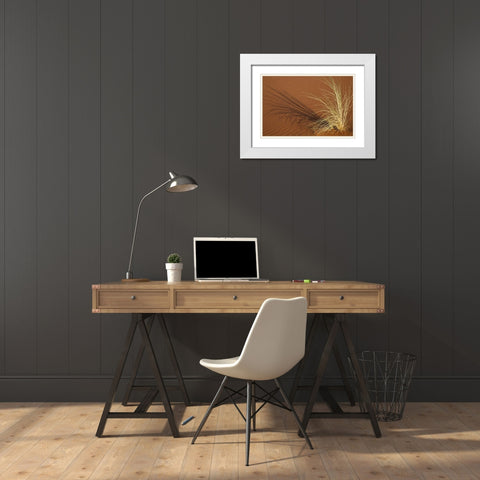 Tuft of grass in the Namib Desert, Namibia White Modern Wood Framed Art Print with Double Matting by Young, Bill