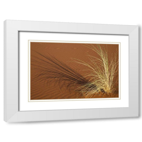 Tuft of grass in the Namib Desert, Namibia White Modern Wood Framed Art Print with Double Matting by Young, Bill