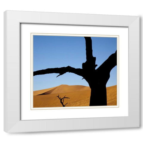 Namibia, Sossusvlei Dead trees with sand dune White Modern Wood Framed Art Print with Double Matting by Kaveney, Wendy