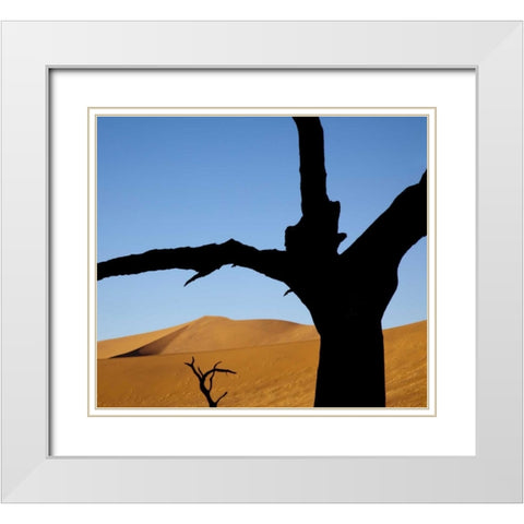 Namibia, Sossusvlei Dead trees with sand dune White Modern Wood Framed Art Print with Double Matting by Kaveney, Wendy