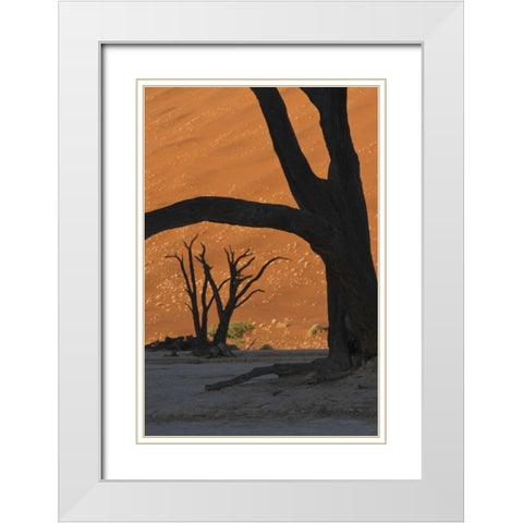 Namibia, Namib Desert Silhouette of lone tree White Modern Wood Framed Art Print with Double Matting by Kaveney, Wendy