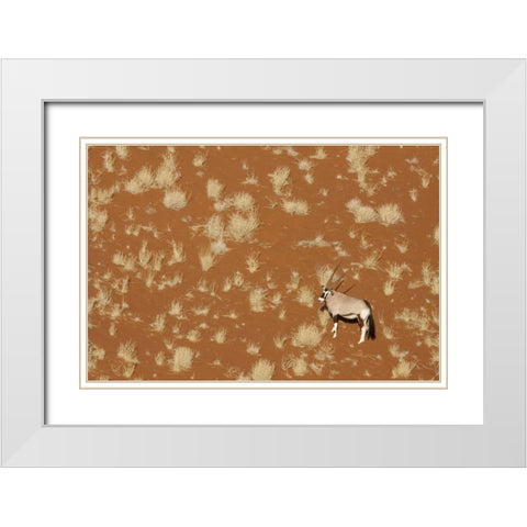 Namibia, Namib-Naukluft , Sossusvlei Lone oryx White Modern Wood Framed Art Print with Double Matting by Kaveney, Wendy