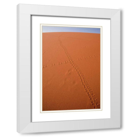 Namibia, Sossusvlei Animal tracks on a sand dune White Modern Wood Framed Art Print with Double Matting by Kaveney, Wendy