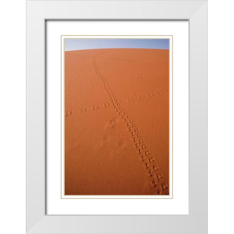 Namibia, Sossusvlei Animal tracks on a sand dune White Modern Wood Framed Art Print with Double Matting by Kaveney, Wendy