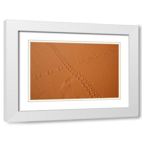 Namibia, Sossusvlei Animal tracks on a sand dune White Modern Wood Framed Art Print with Double Matting by Kaveney, Wendy