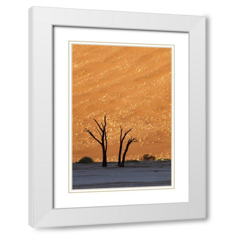 Namibia, Sossusvlei Dead trees with sand dune White Modern Wood Framed Art Print with Double Matting by Kaveney, Wendy