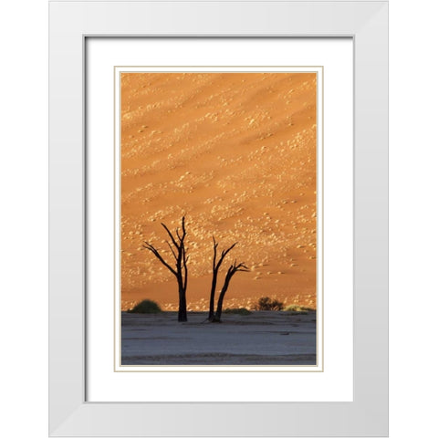 Namibia, Sossusvlei Dead trees with sand dune White Modern Wood Framed Art Print with Double Matting by Kaveney, Wendy