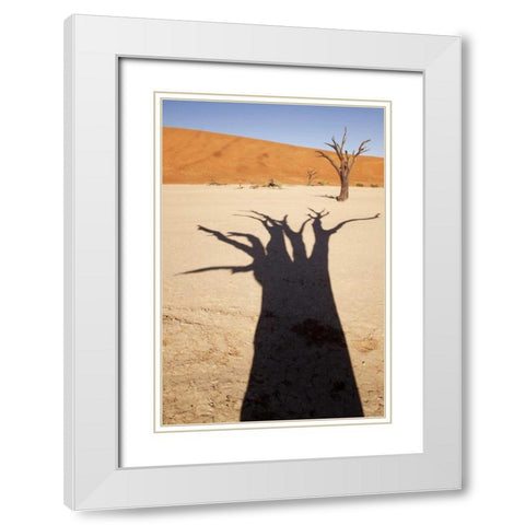 Namibia, Sossusvlei Dead tree casts shadow White Modern Wood Framed Art Print with Double Matting by Kaveney, Wendy