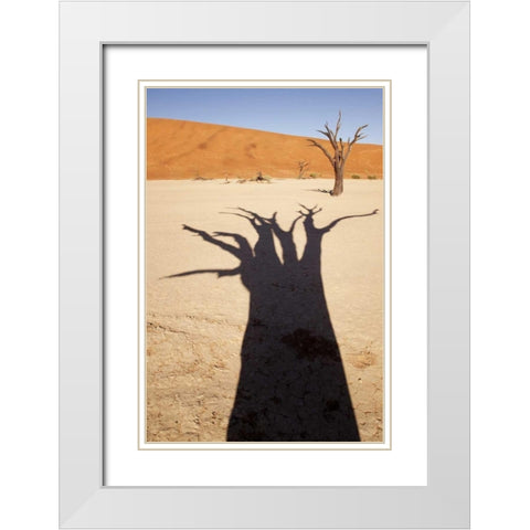 Namibia, Sossusvlei Dead tree casts shadow White Modern Wood Framed Art Print with Double Matting by Kaveney, Wendy