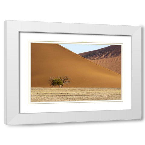 Namibia, Sossusvlei Contrasting sand dunes White Modern Wood Framed Art Print with Double Matting by Kaveney, Wendy