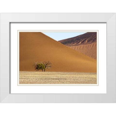Namibia, Sossusvlei Contrasting sand dunes White Modern Wood Framed Art Print with Double Matting by Kaveney, Wendy