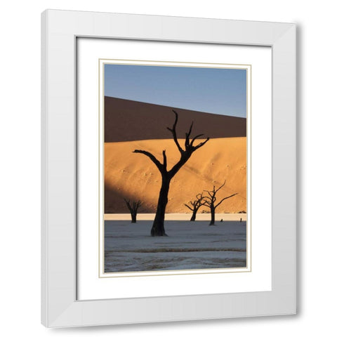 Namibia, Sossusvlei Sunrise on dead trees White Modern Wood Framed Art Print with Double Matting by Kaveney, Wendy
