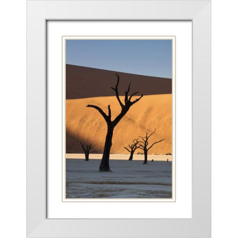 Namibia, Sossusvlei Sunrise on dead trees White Modern Wood Framed Art Print with Double Matting by Kaveney, Wendy
