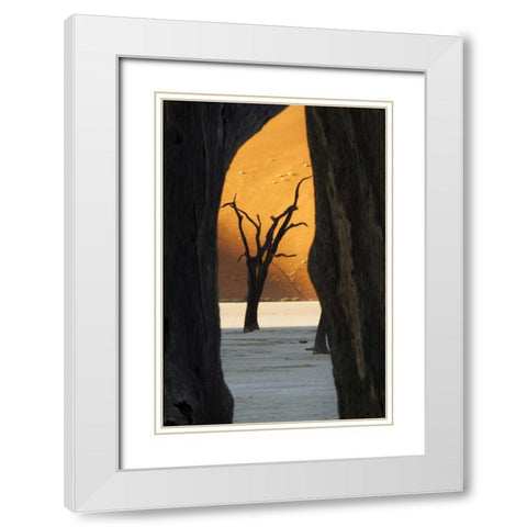 Trees and dunes, Dead Vlei, Sossusvlei, Namibia White Modern Wood Framed Art Print with Double Matting by Kaveney, Wendy